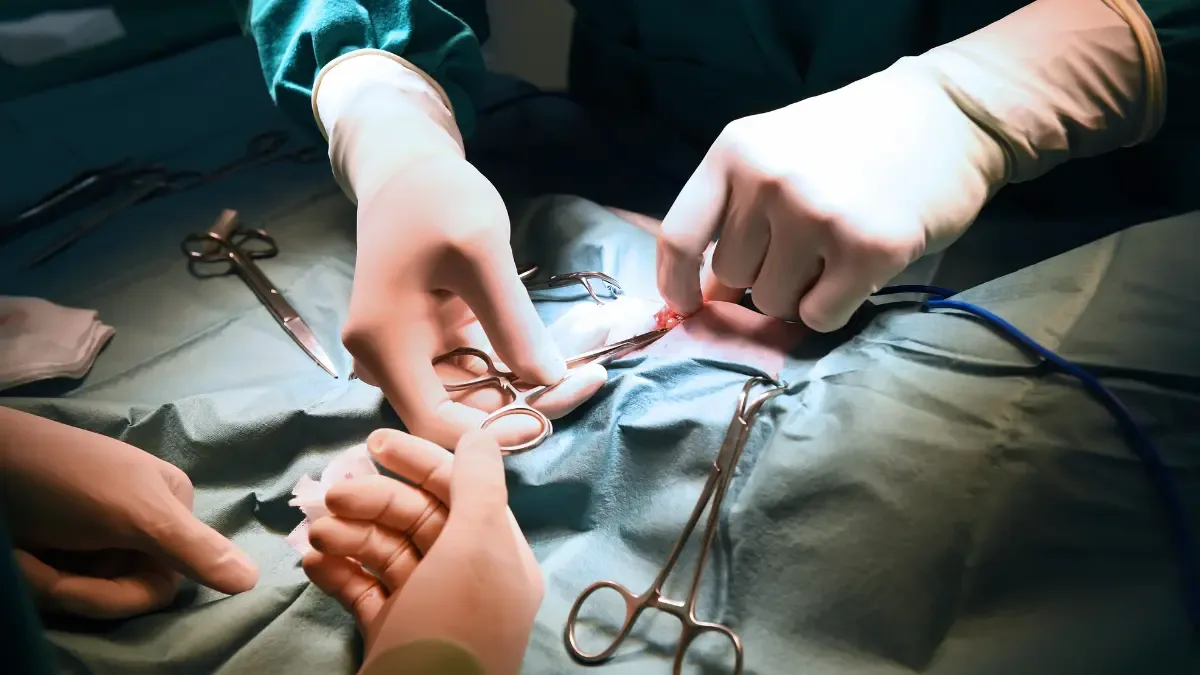 Tipos de cirurgia no ombro: você sabe quais são?